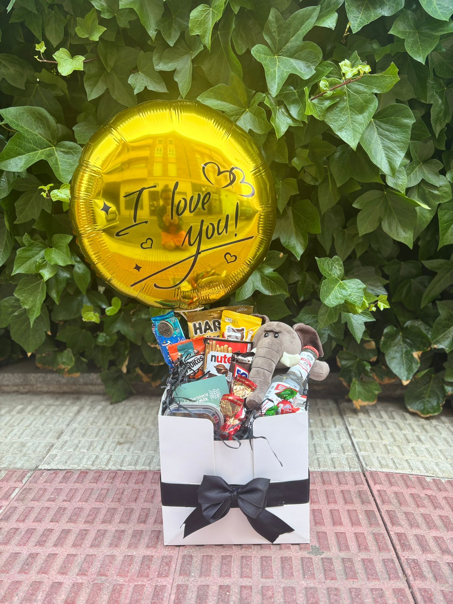 Ancheta especial con peluche.