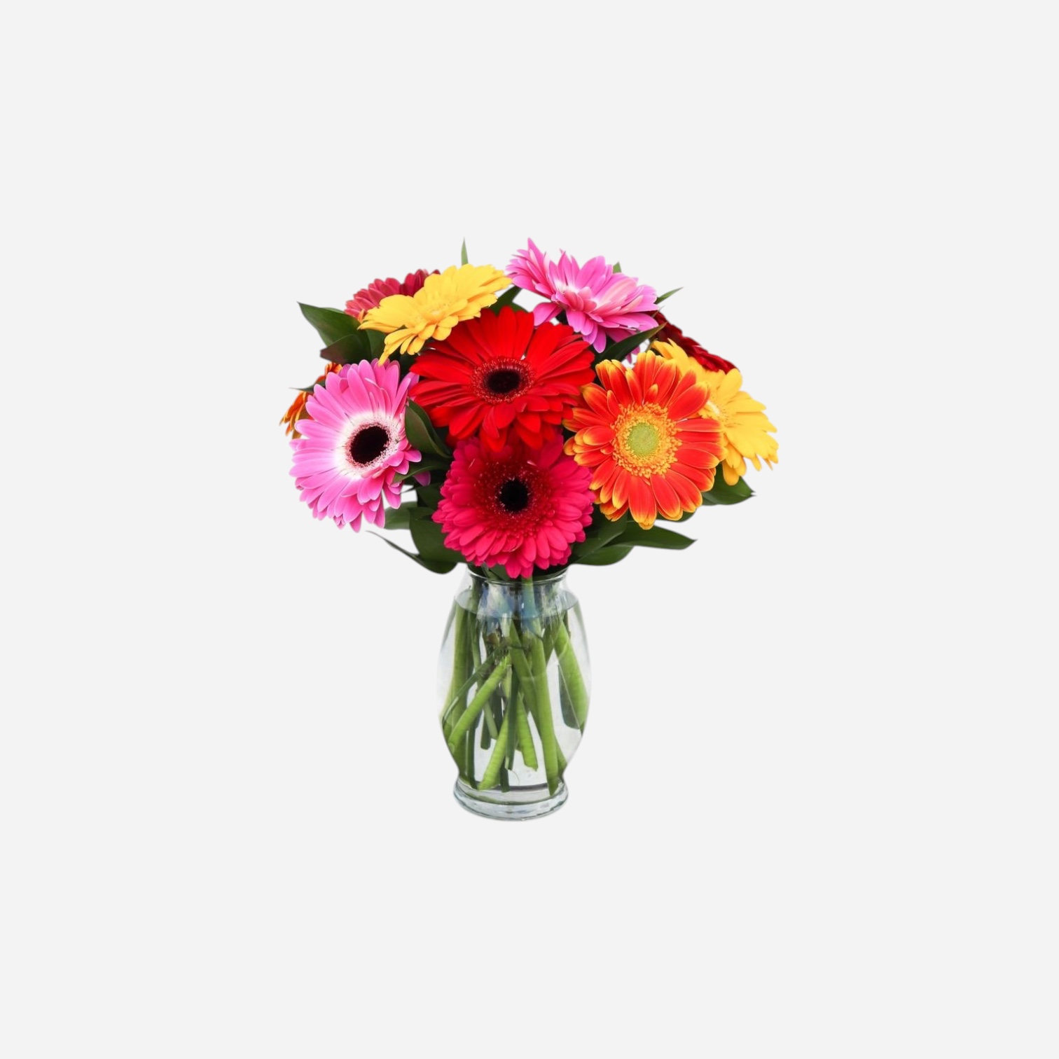 Gerberas